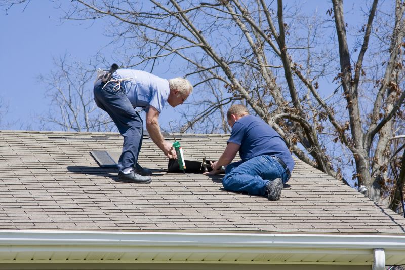 Asphalt Roof Leak Repair