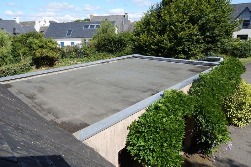 Roof Repair detail