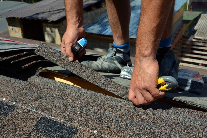 Shingle Repair